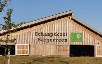Hoogveenreservaat Bargerveen